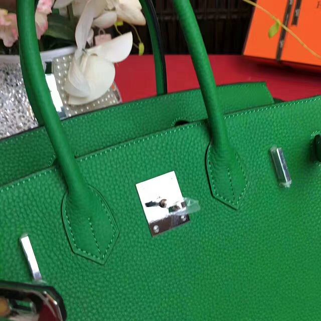 Hermes original togo leather birkin 25 bag H25-1 green