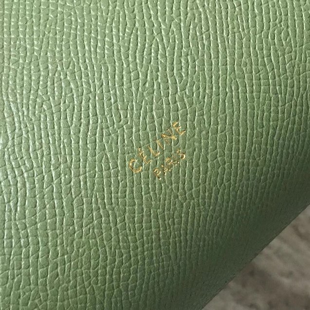 Celine original grained calfskin nano belt bag 189003 green