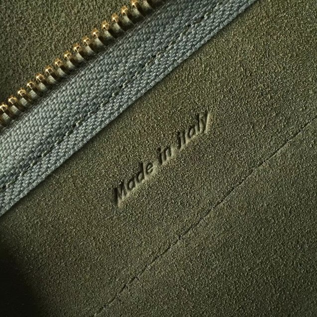 Celine original grained calfskin nano belt bag 189003 green