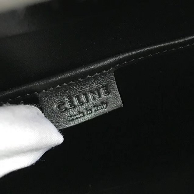 Celine original calfskin nano luggage bag 189243 apricot&black&green
