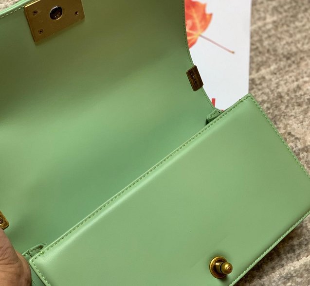 CC original genuine stingray skin boy bag A67086 light green