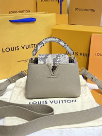 Louis vuitton original calfskin capucines mini handbag M55986 grey