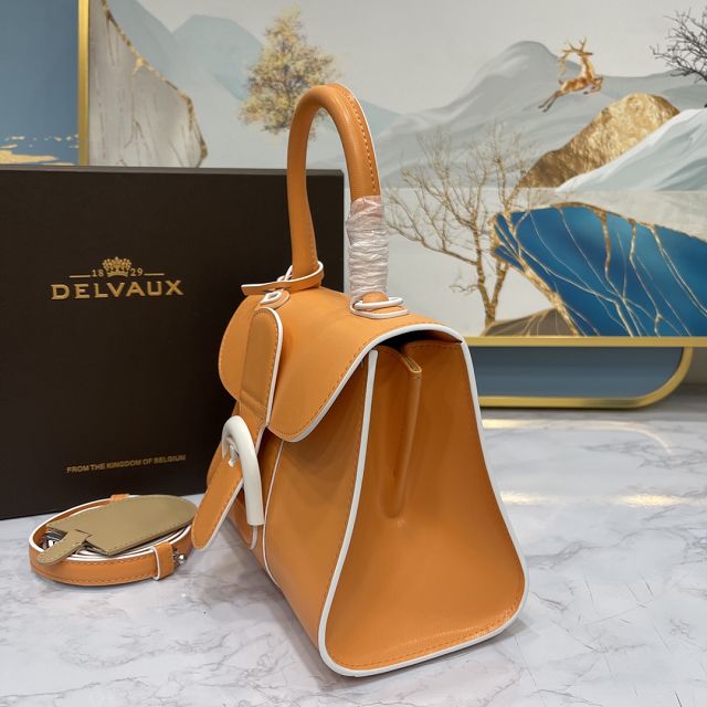 Delvaux original box calfskin brillant mini bag AA0406 orange