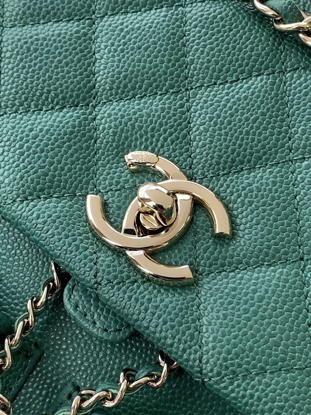 CC original grained calfskin backpack AS3860 green