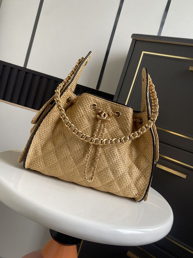 CC original raffia 25 small handbag AS5293 beige