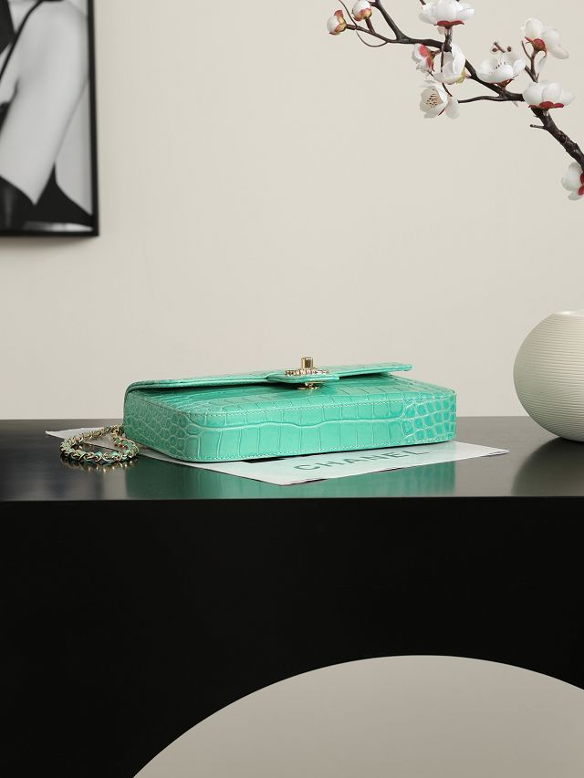 CC crocodile calfskin small flap bag AS6340