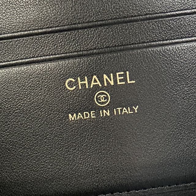 CC lizard calfskin vanity with chain AP5195 
