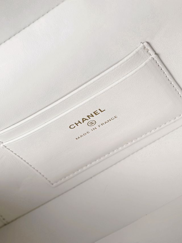 CC crocodile calfskin vanity with chain AP5438