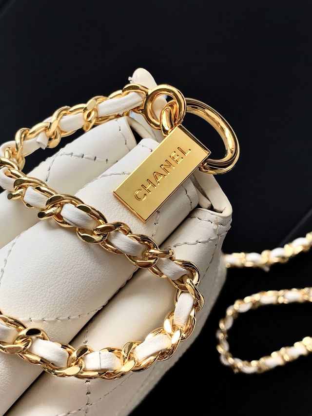 CC lambskin small hobo bag AS6255 white