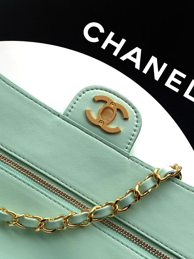 CC suede calfskin maxi flap bag AS6281 mint green