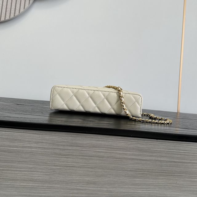 CC grained calfskin small vanity with chain AP5346 light beige